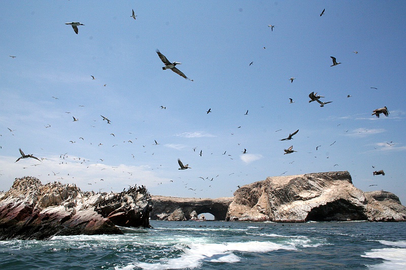 Rafal i Beatka_super-2.JPG - Same wysepki wyglądają niczym z filmu Piraci z Karaibów, jest w nich masa otworów i przepustów wodnych. Ich nazwa na polski tłumaczy się jak 'wyspy arkadowe, łukowe'. (Zdjęcie: Beatka i Rafał)